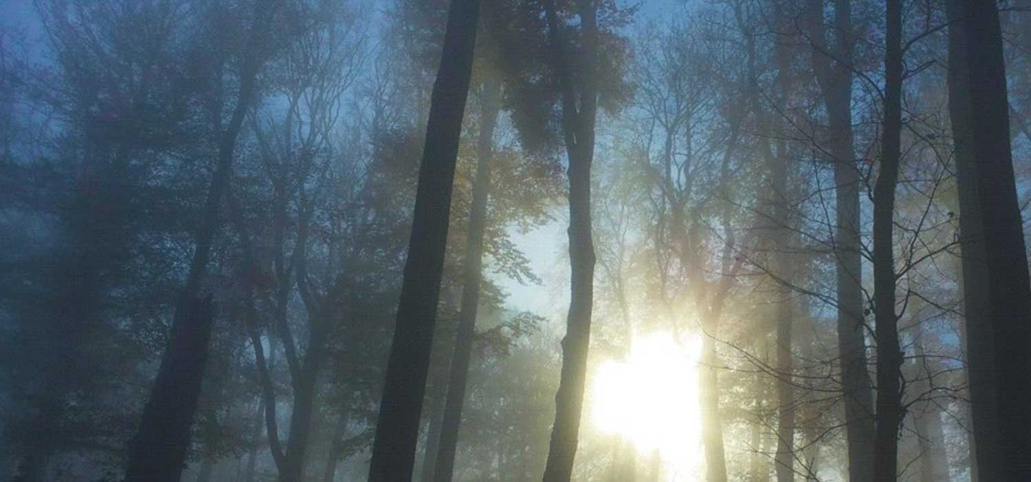 Exit Games - Outdoor