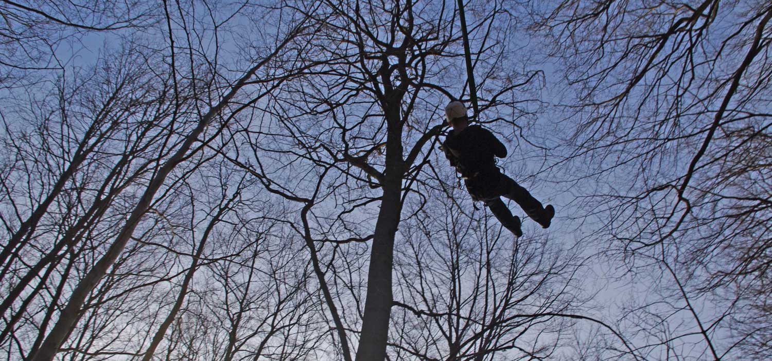 Giant Swing