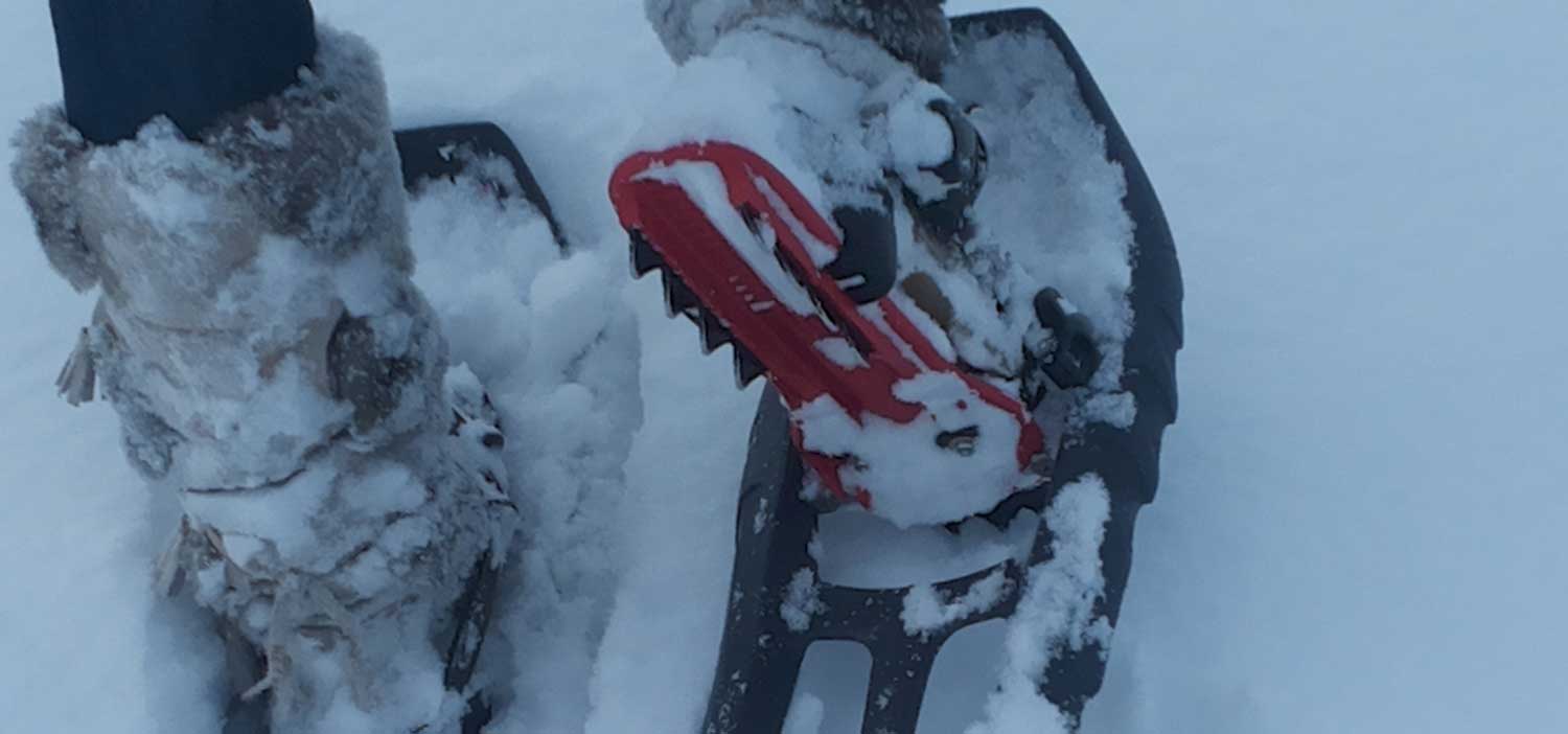 Schneeschuh Touren